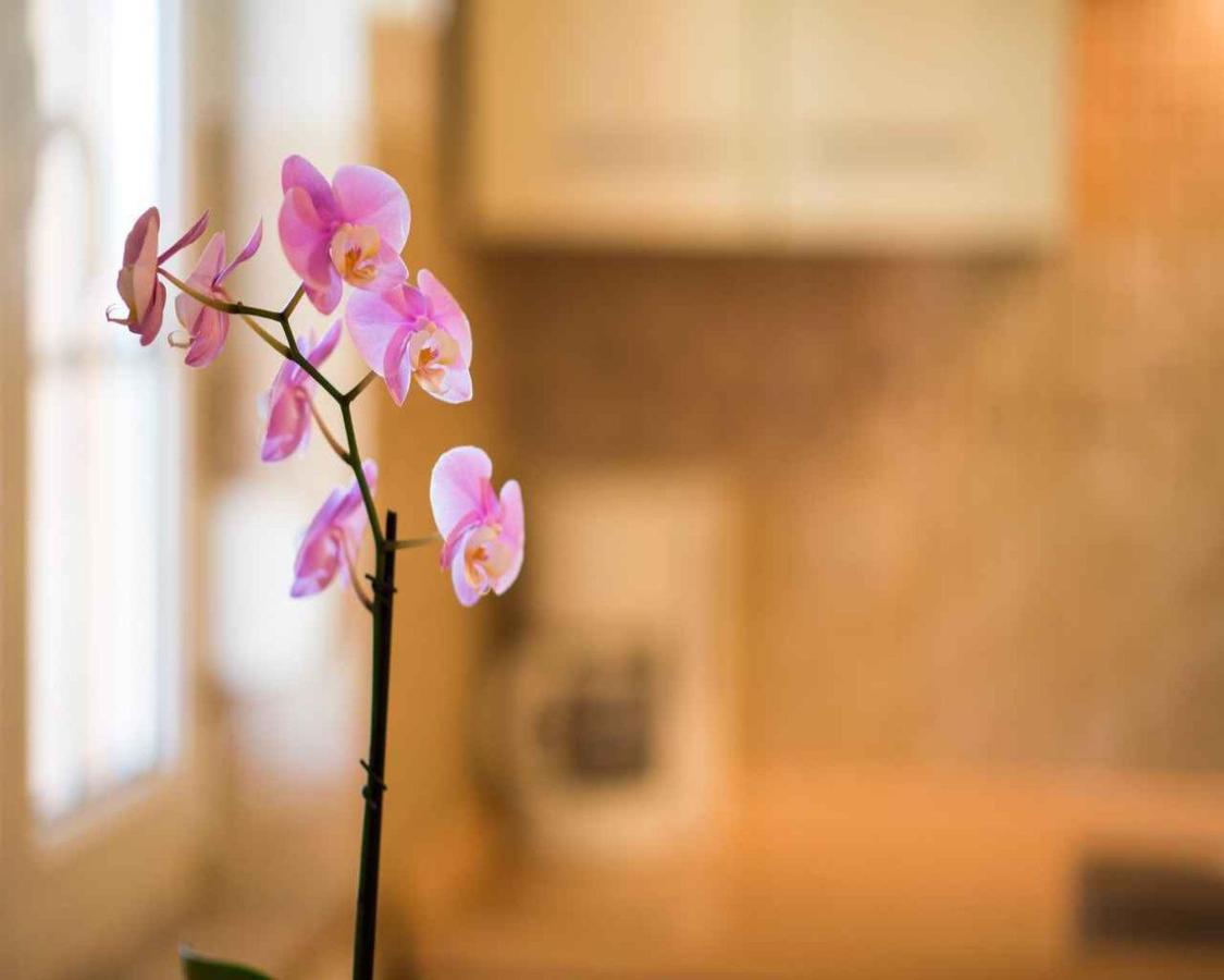 Apartments In Vrbnik/Insel Krk 13597 Ngoại thất bức ảnh